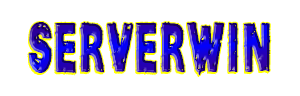 ServerWin Logo